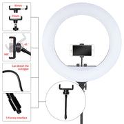 Lorreto High Quality 18 Inches Ring Light